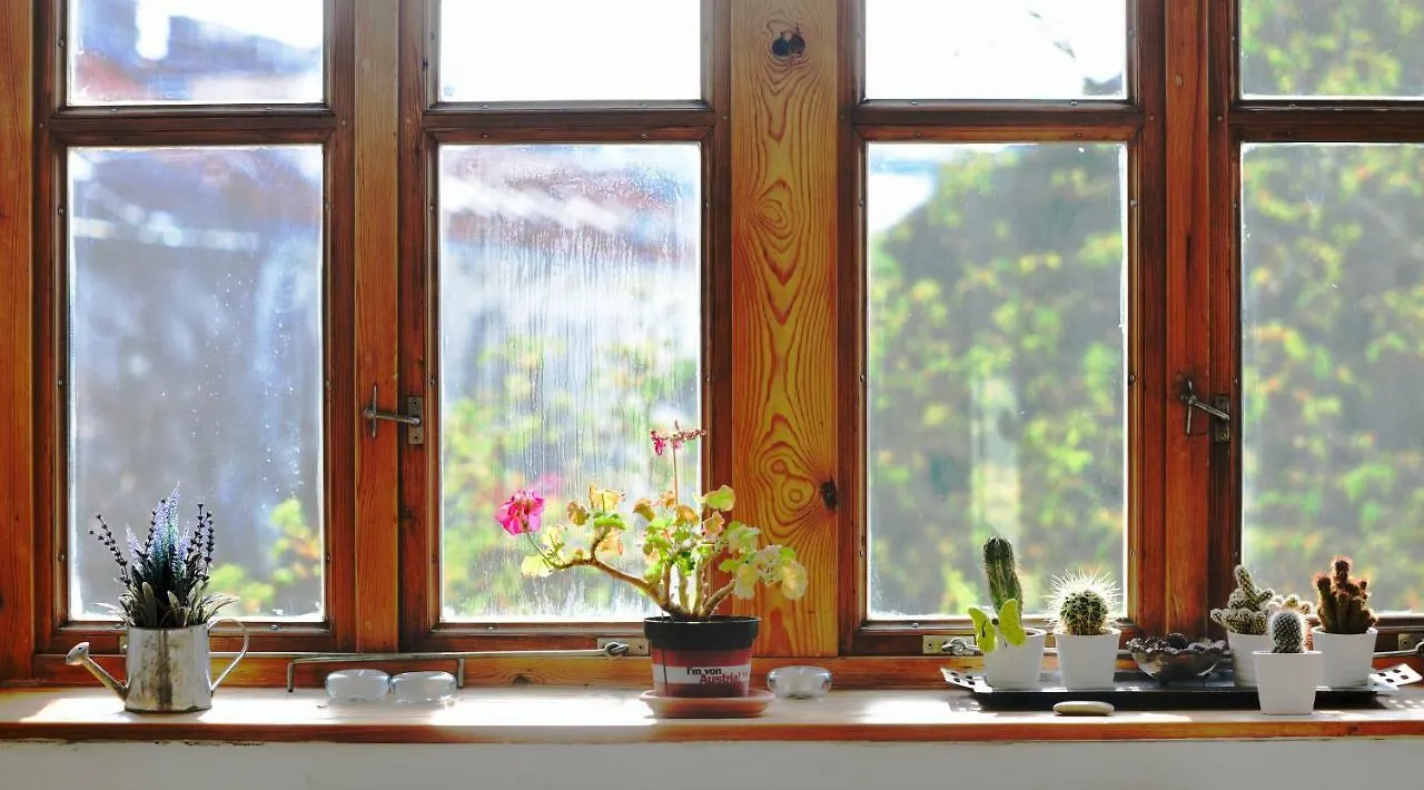 Vienna'S Most Charming Home